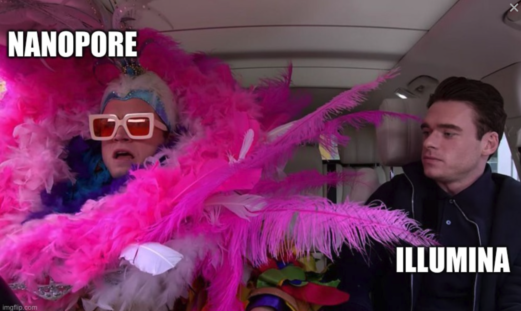 ../_images/ont-ill.png
