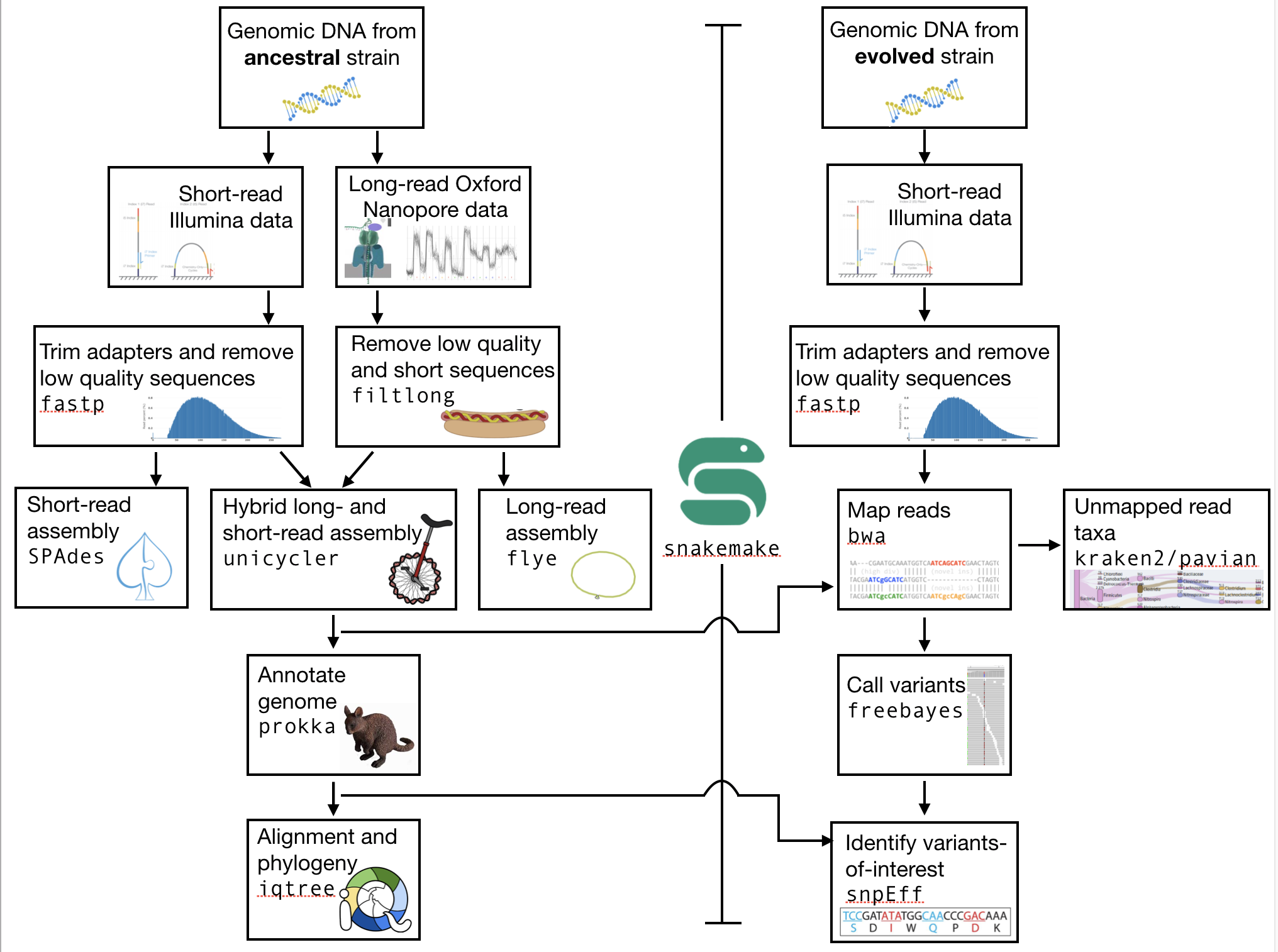_images/workflow.png